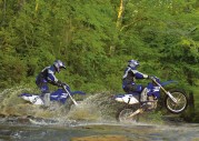 Yamaha WR450F